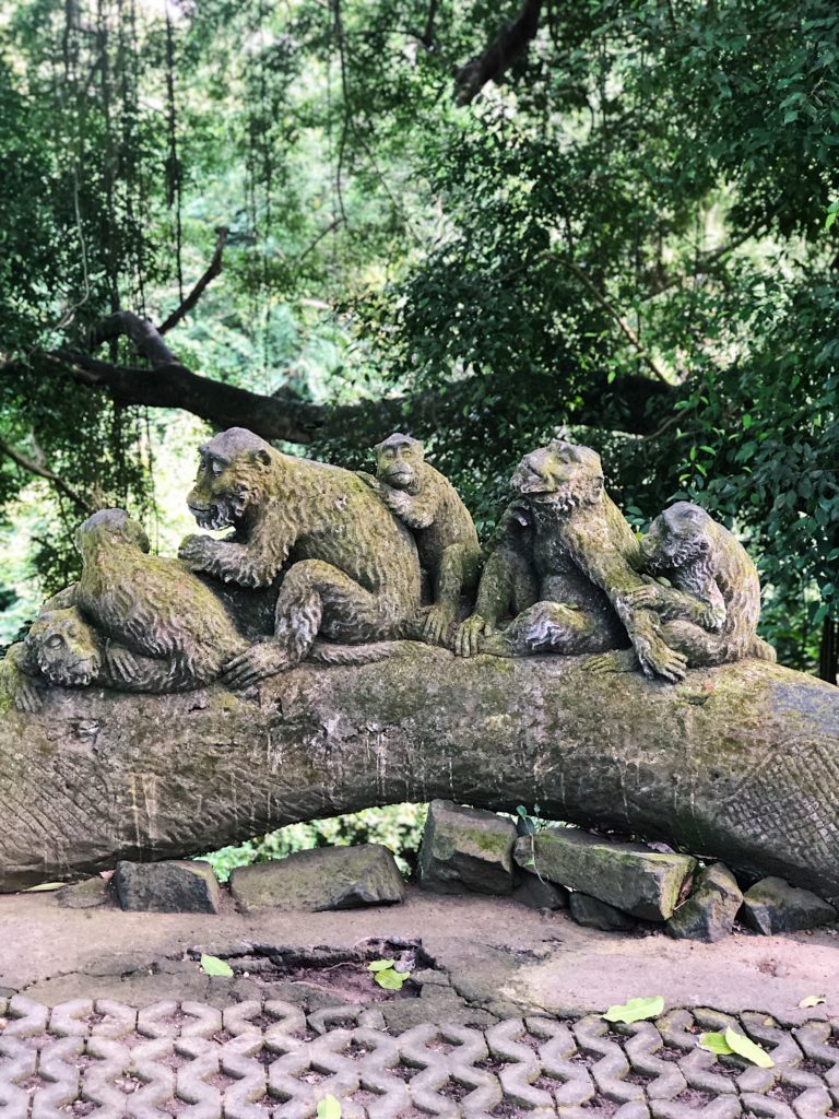 monkey forest ubud